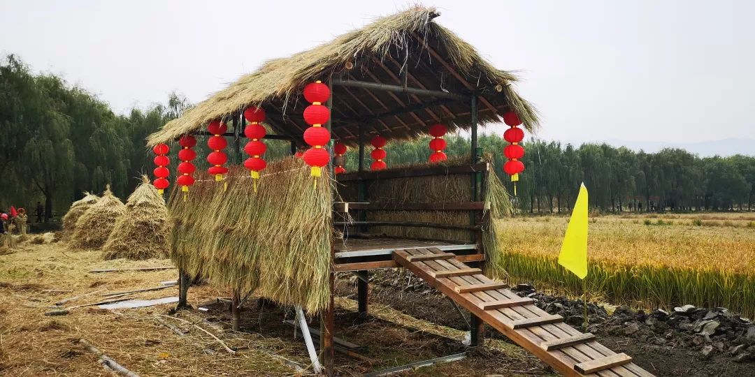 图影稻草人嘉年华等你来稻田寻童趣