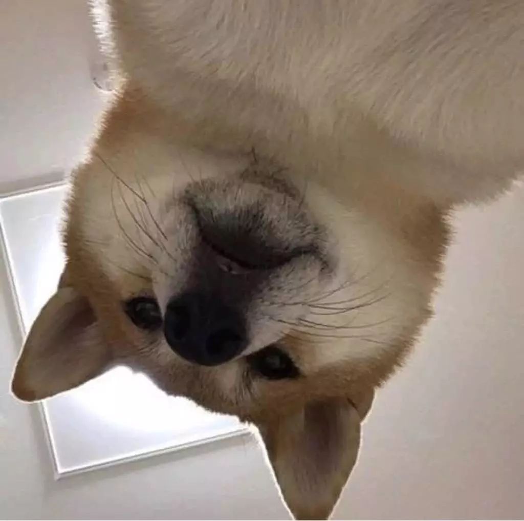 头像一见钟情很容易相濡以沫却是难题