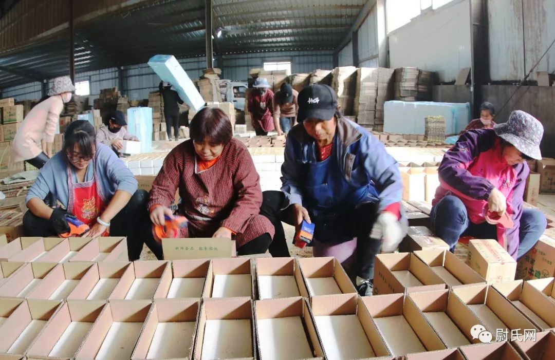 【图片新闻】 双十一 电商打包发货忙