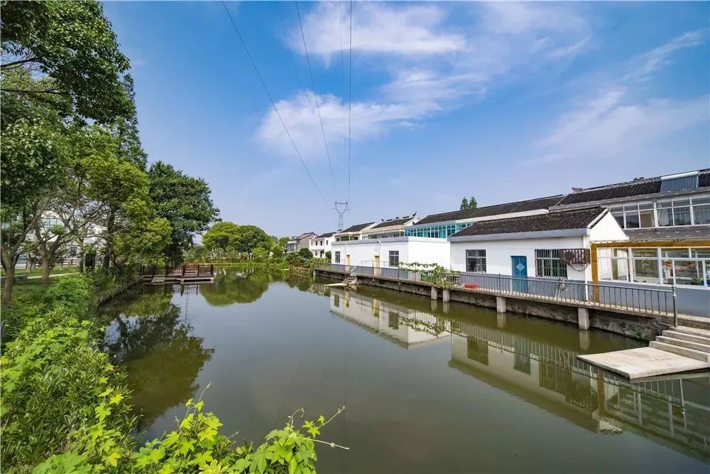 市委书记沈国芳让金港老百姓共享乡村振兴成果