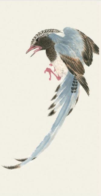 刘阔老师笔下的工笔山鹧是这样画的活灵活现