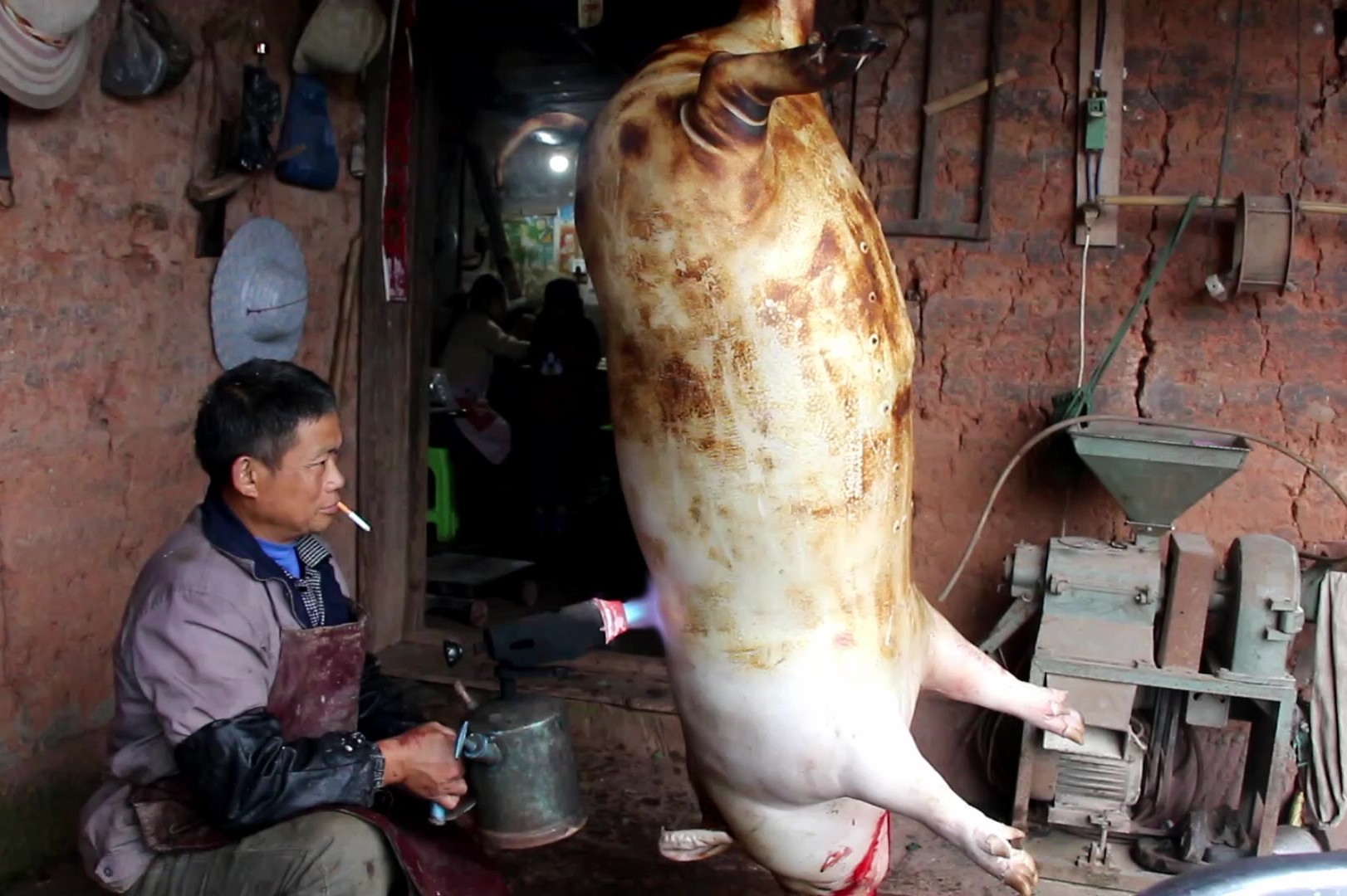 实拍农村杀猪几百斤的猪一会就收拾好了师傅的技术真不赖