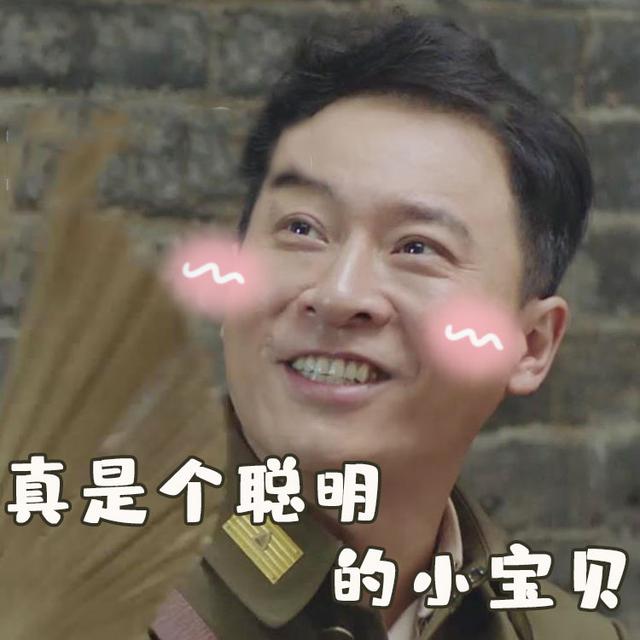 北京卫视河山李司令表情包了解一下