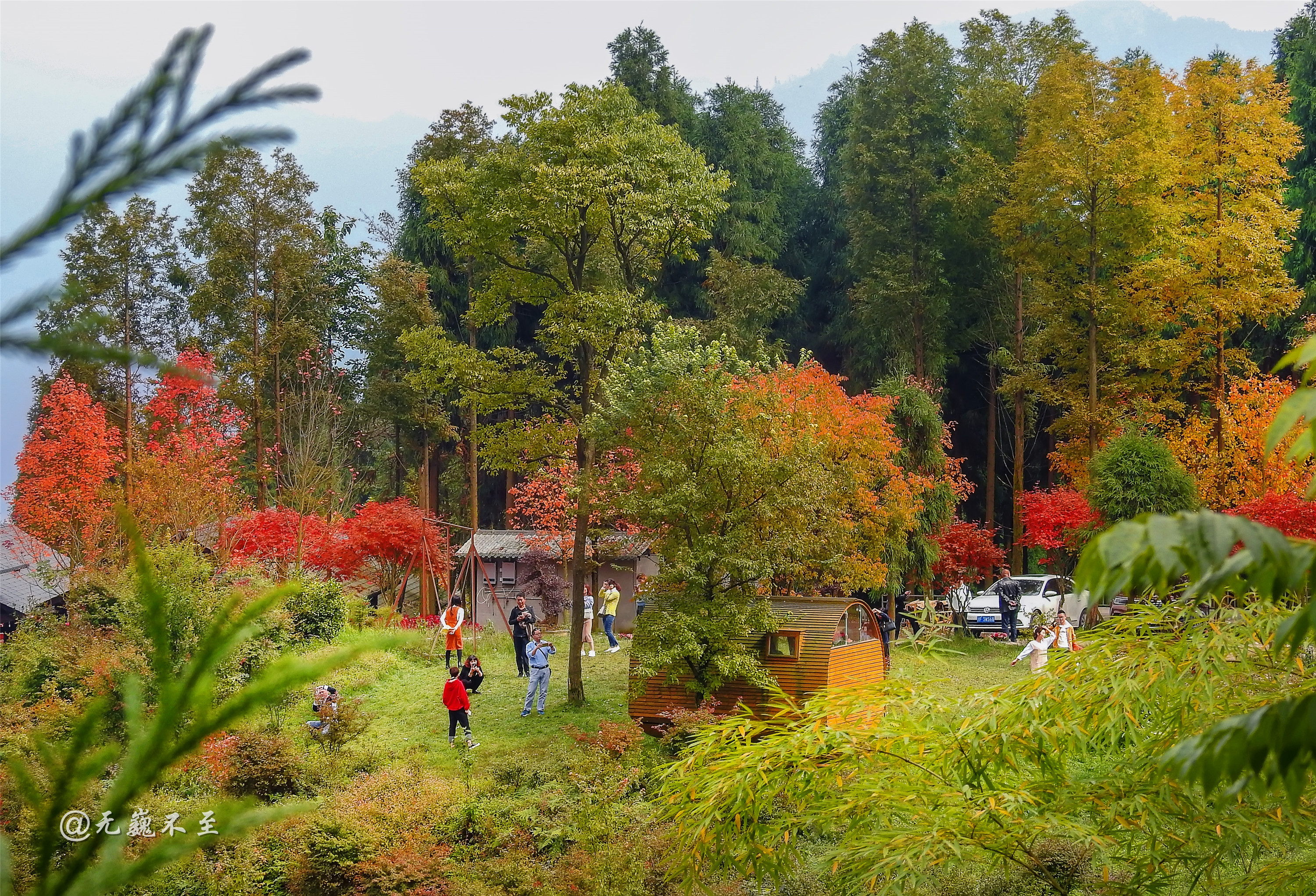 蓥华山花海图片