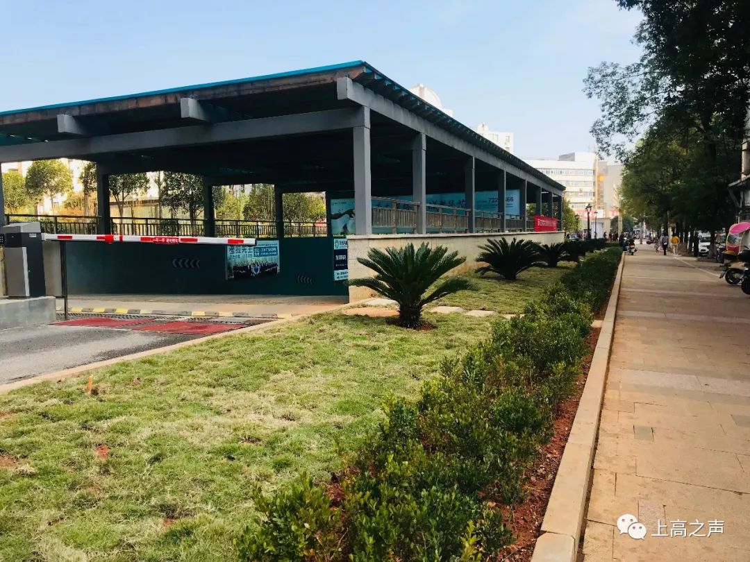 太美了上高中心地标绿化改造换新颜