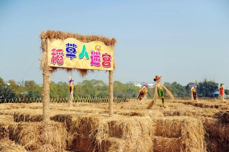 图影稻草人嘉年华等你来稻田寻童趣