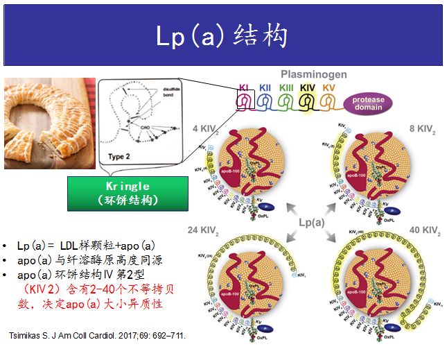 clinic文庫ascvd防治應重視脂蛋白a的篩查和管理