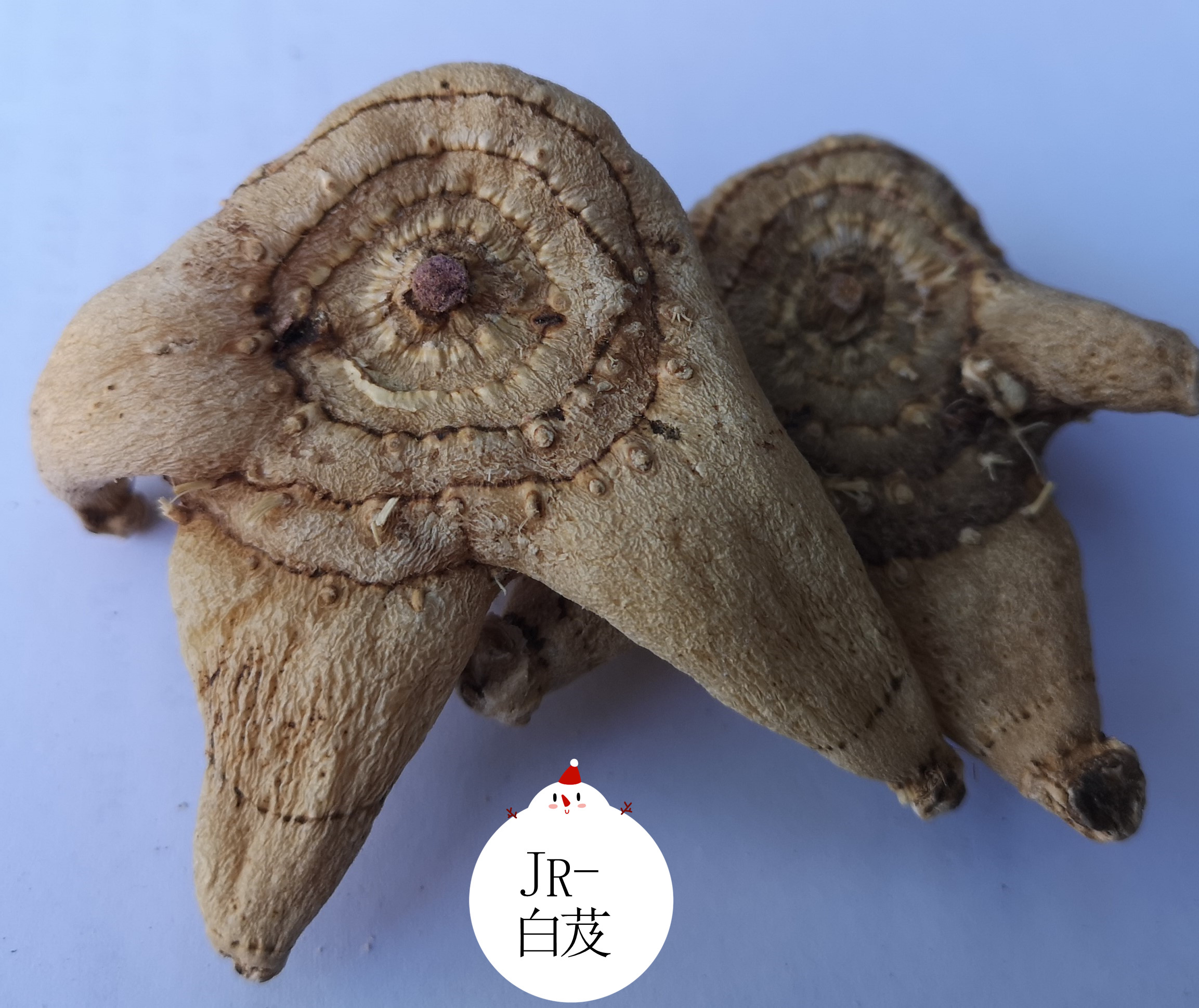 历史悠久美容好中药生津止血中药白芨