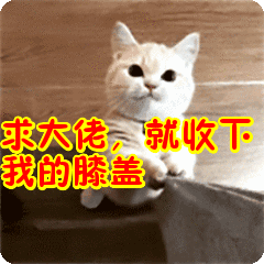 校会百科 l 那些你不知道的"春秋分 夏冬至"