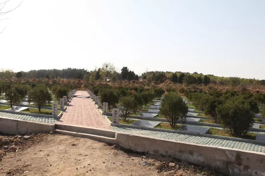 农村公益性公墓建设,日照岚山区是这样规范的