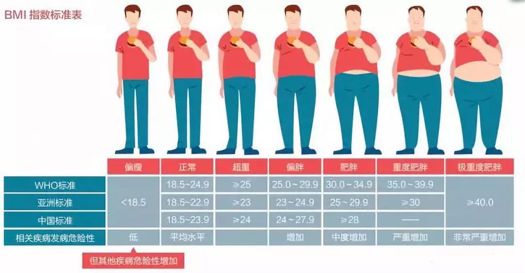 bmi=体重(kg)/身高的平方(m) 不知道你们处于哪一阶段慢慢的,我们从