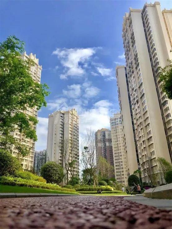 阳光生态城丨阳光10282套破万封顶2019年110月数据看点颇多