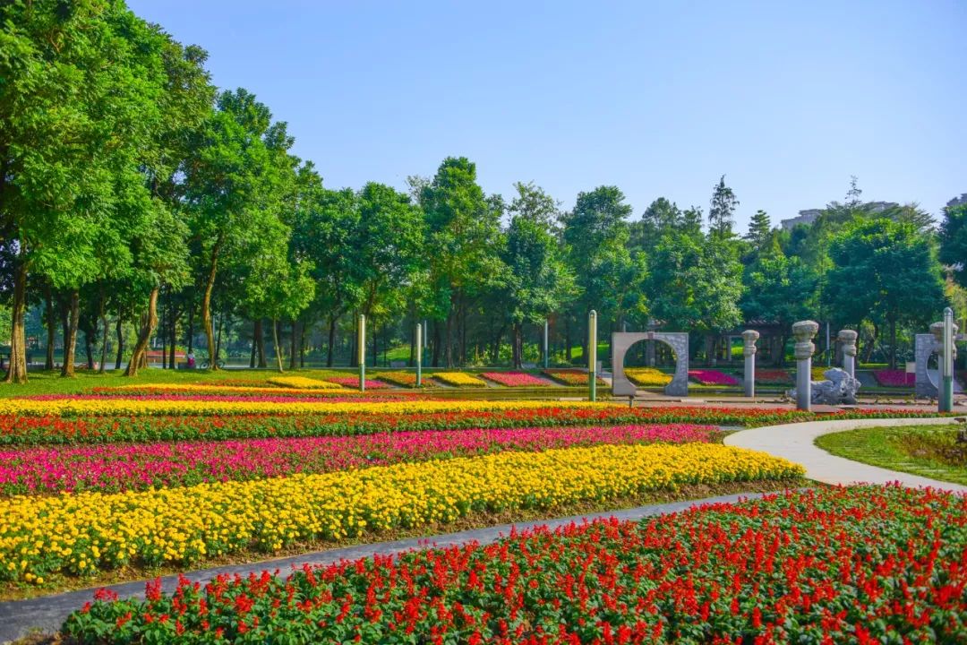 四季花海岭南庭院禅城这个网红公园名声享誉珠三角