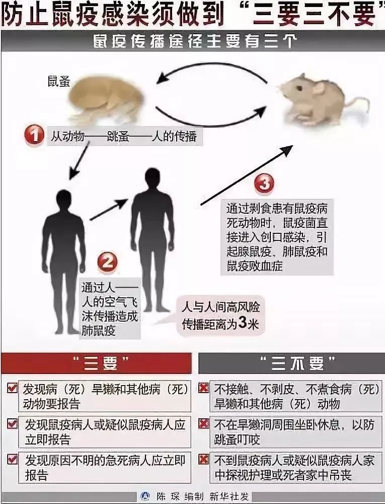 北京确诊2例鼠疫,福州人应该担心吗?权威解答来了!