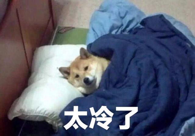 吐槽天气冷的表情包合集|请问你是不是想冷死我