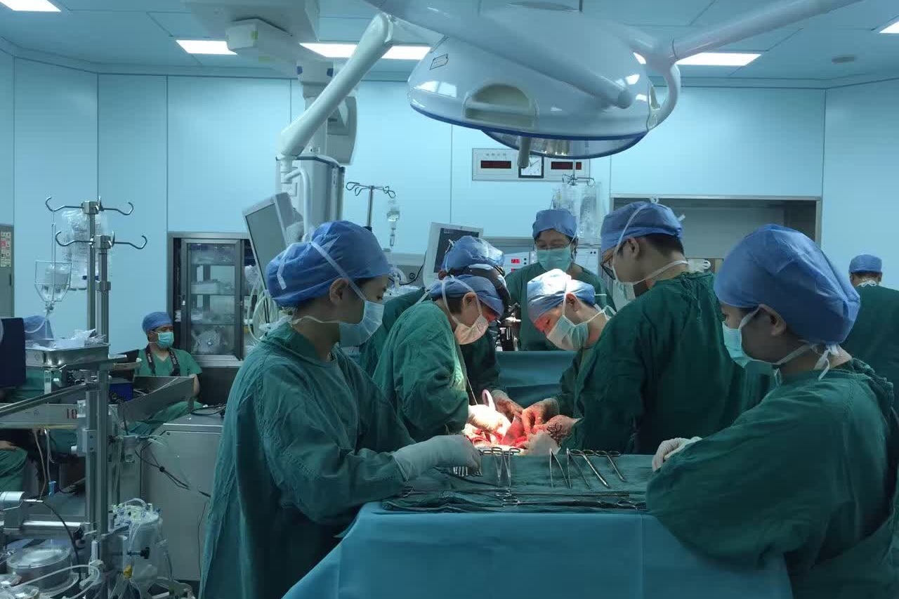 探秘人体奥秘整双手移植手术双手坏了全部切掉再换一双新手