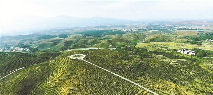 湖南常宁市蓄势正发转型大业迎来春天