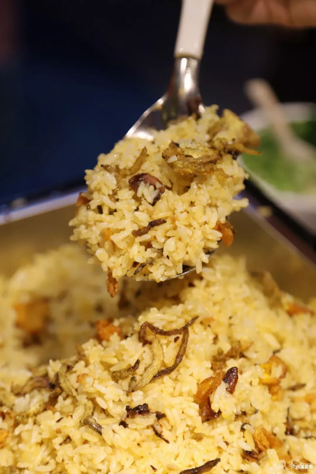 澳门美食节来了人均100元吃遍全球1000种美食