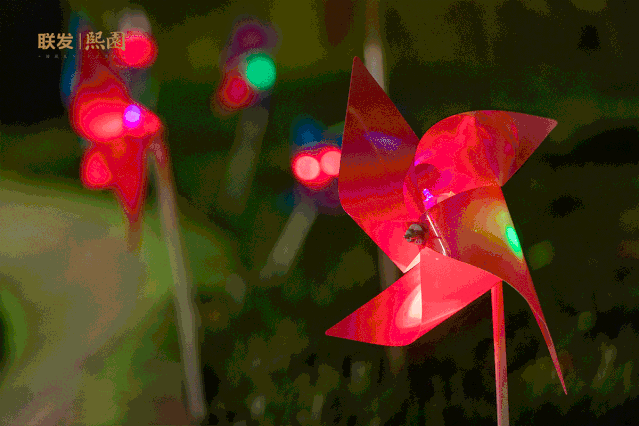 639_426gif 动态图 动图