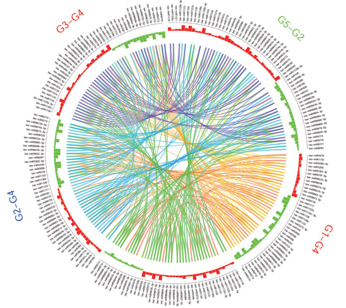 原创全转录组测序
