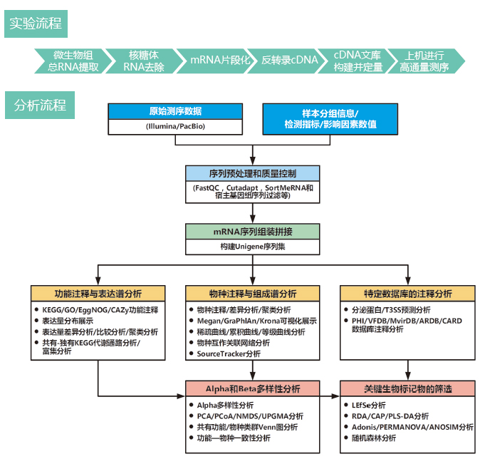 宏转录组测序派森诺