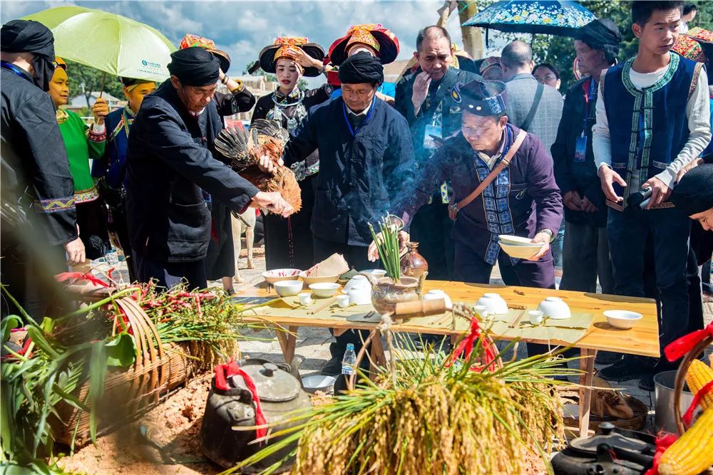 听过壮族尝新节你知道尝新节的由来吗