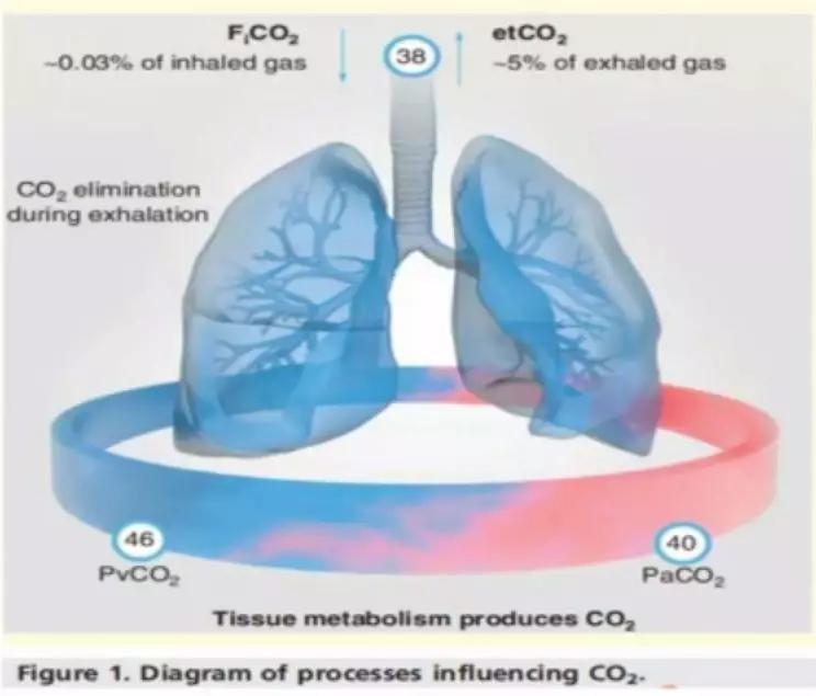 李娟教授：呼气末二氧化碳分压监测的临床应用_麻醉