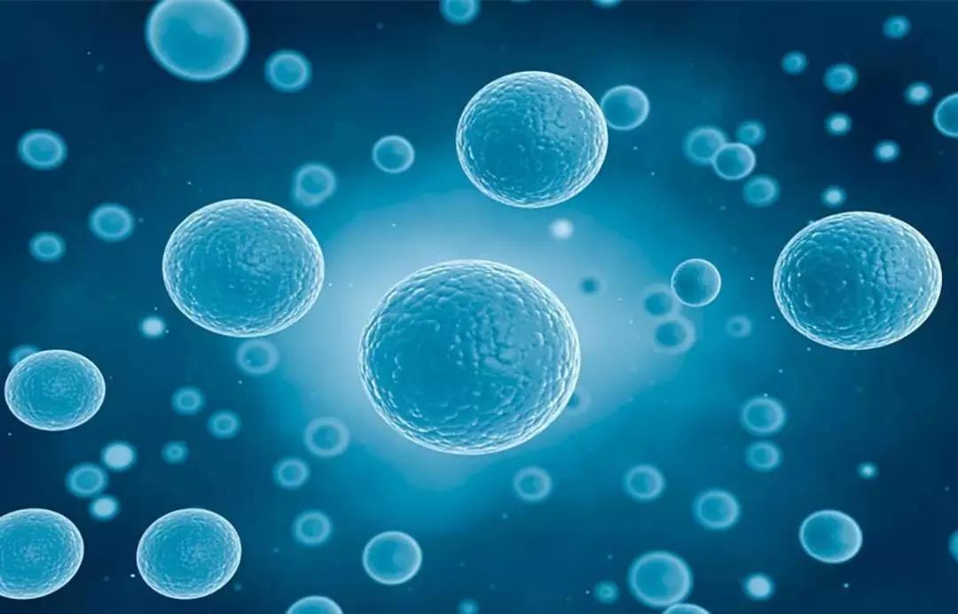 关注亚健康是你的细胞生病了是细胞在给你警告67