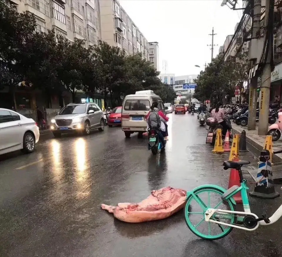 马路中央掉了半扇猪肉,该怎么办?发朋友圈求助,结果更纠结了!