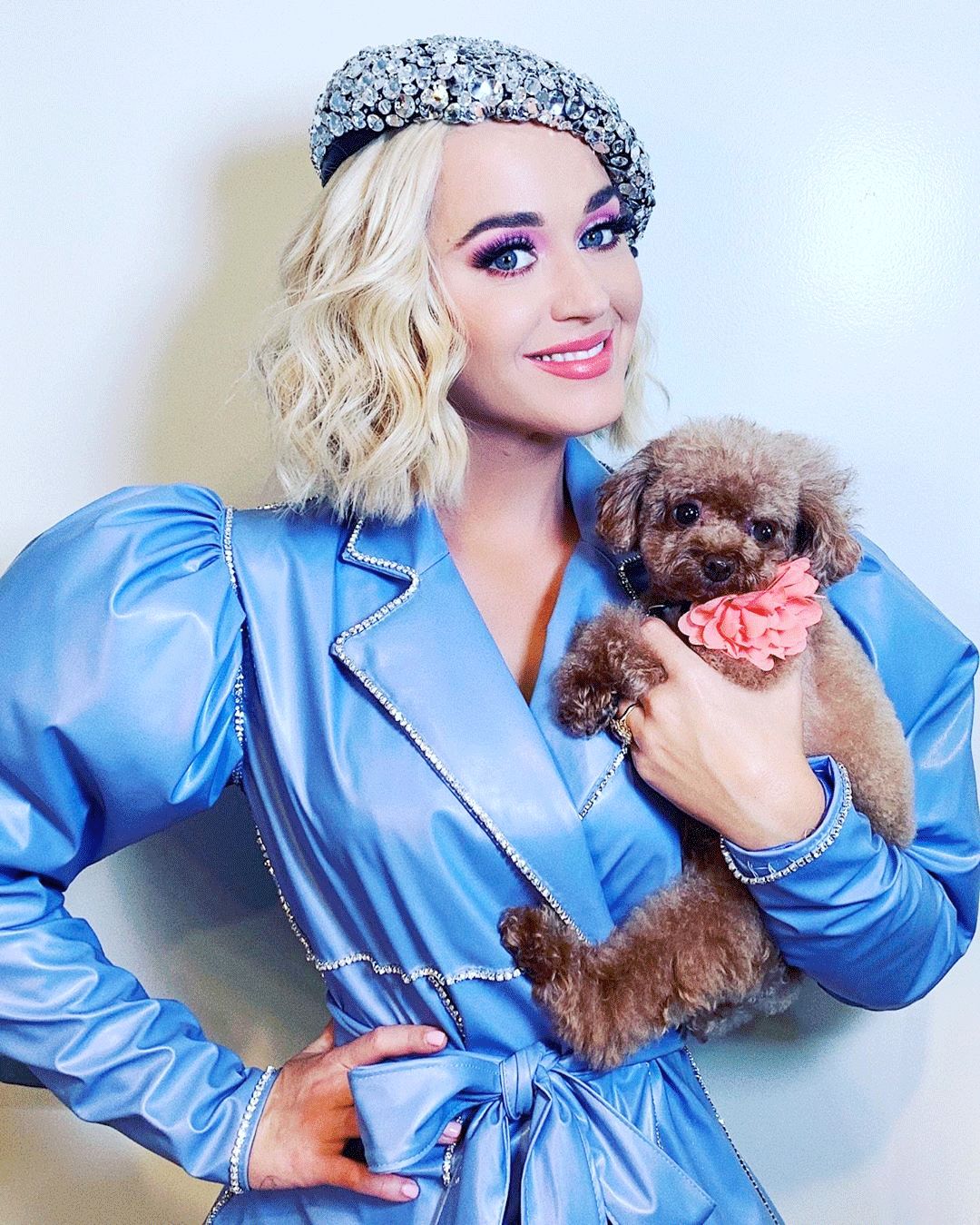 明星的副业野到你想不到 | 水果姐卖醋赚了一个亿_bragg