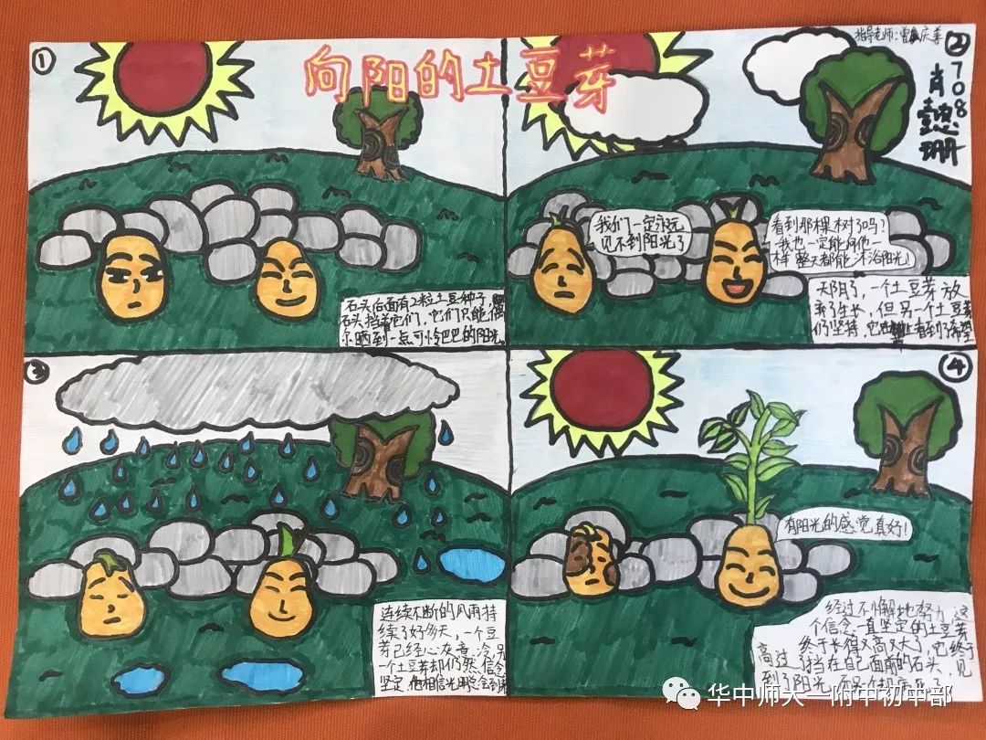 向阳的土豆芽漫画图片