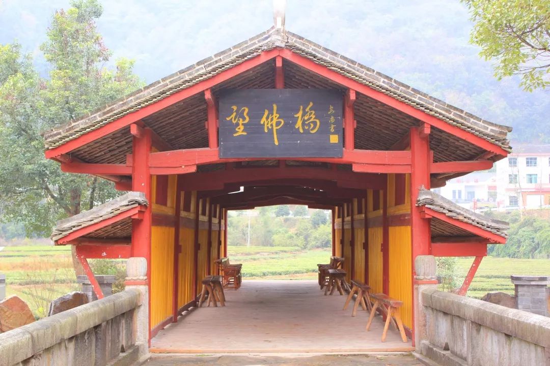 喜讯望佛桥村入围湖北省2020年美丽乡村建设试点村