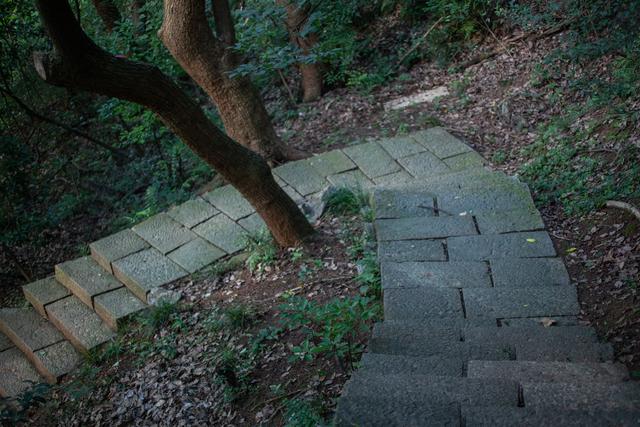 杭州登山路線:超詳細的南屏山太子灣的登山環線,適合邊爬邊對照