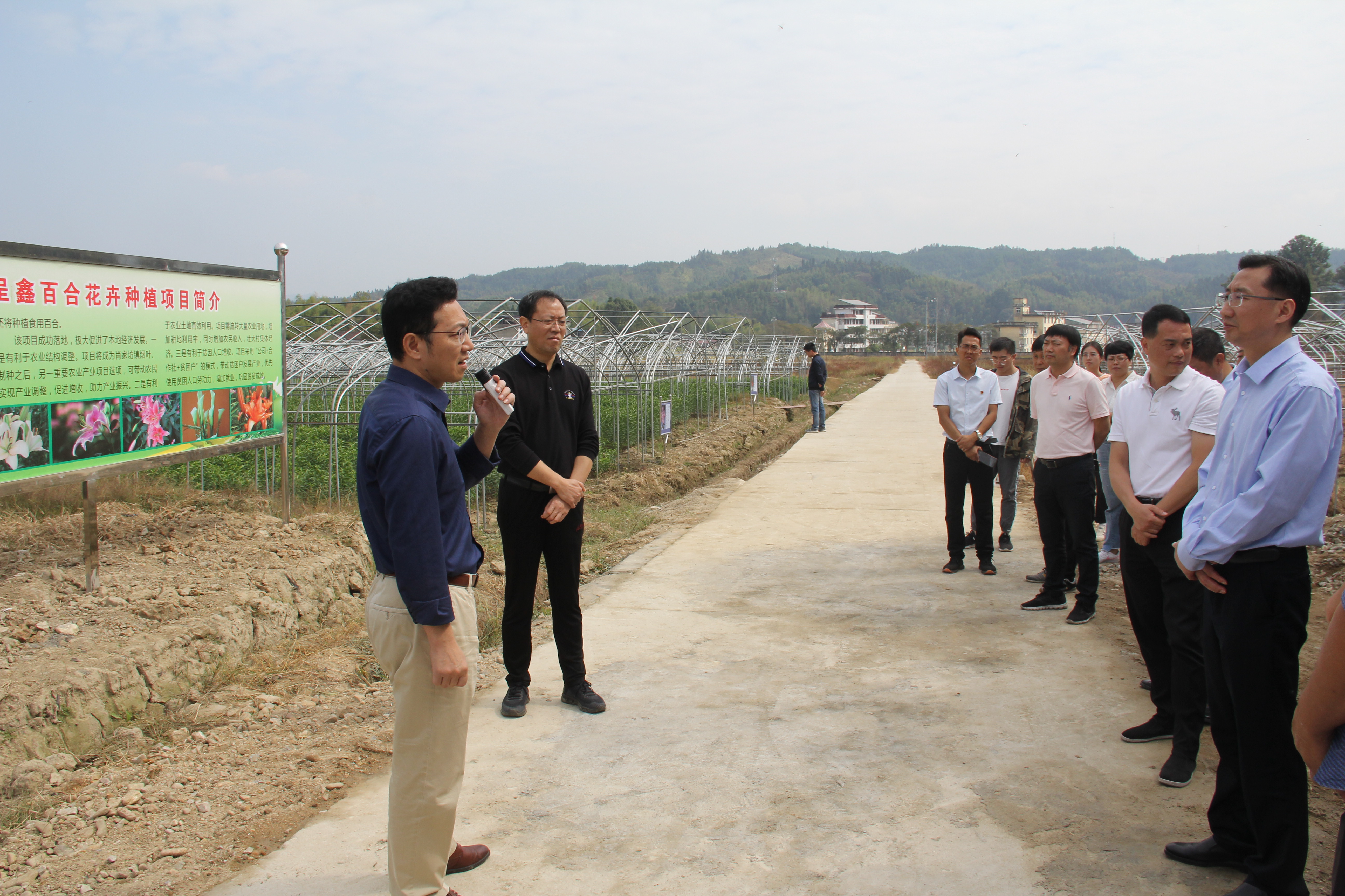 邵武市市长丁贵生调研百合花种植示范基地