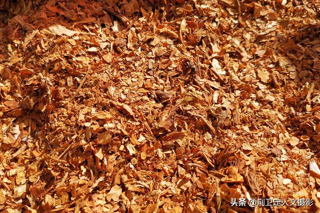 85岁老人集市卖旱烟,有时不卖1分钱,从来不在外边吃饭