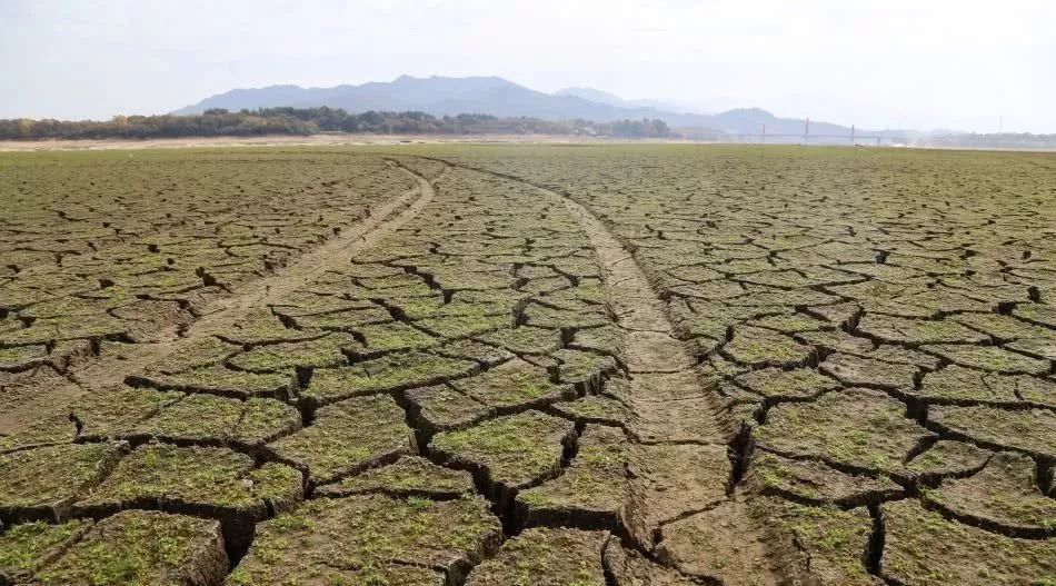 万佛湖湖底已干旱成"草原"那是因为一直都是政府在补贴!