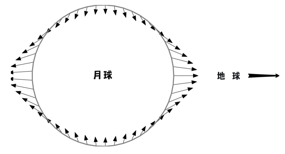 地球对月球表面的潮汐力效果示意图|来源上海天文台渐渐地,地球的这种