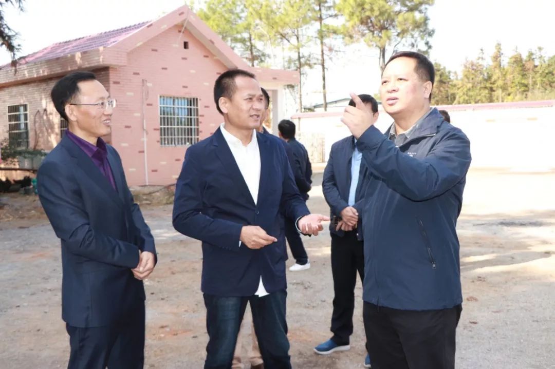 新余市长犹王莹调研珠珊镇养殖企业