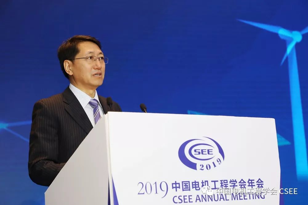 路书军主持开幕式国家电网有限公司副总经理刘泽洪代寇伟董事长发表了