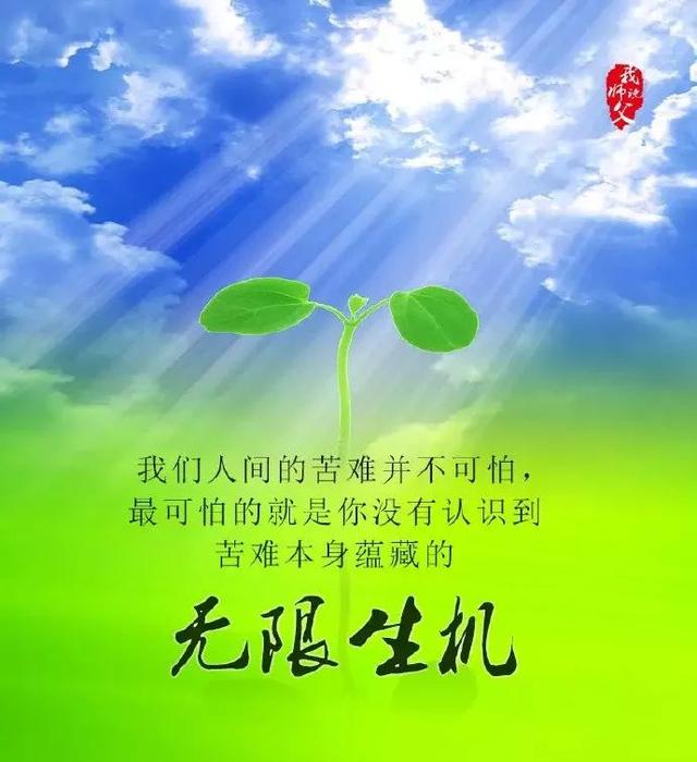 經典語錄心靈雞湯句子人和人太熟就知道刀子往哪裡捅最痛