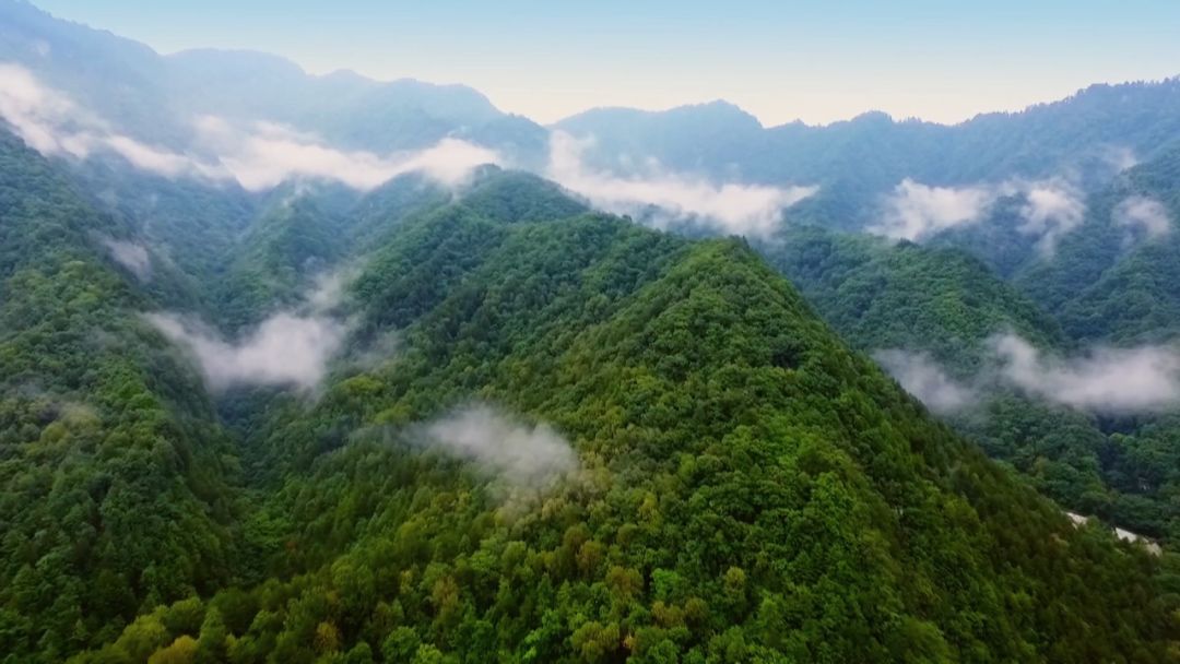 视频丨美丽中国第三集沃土如金