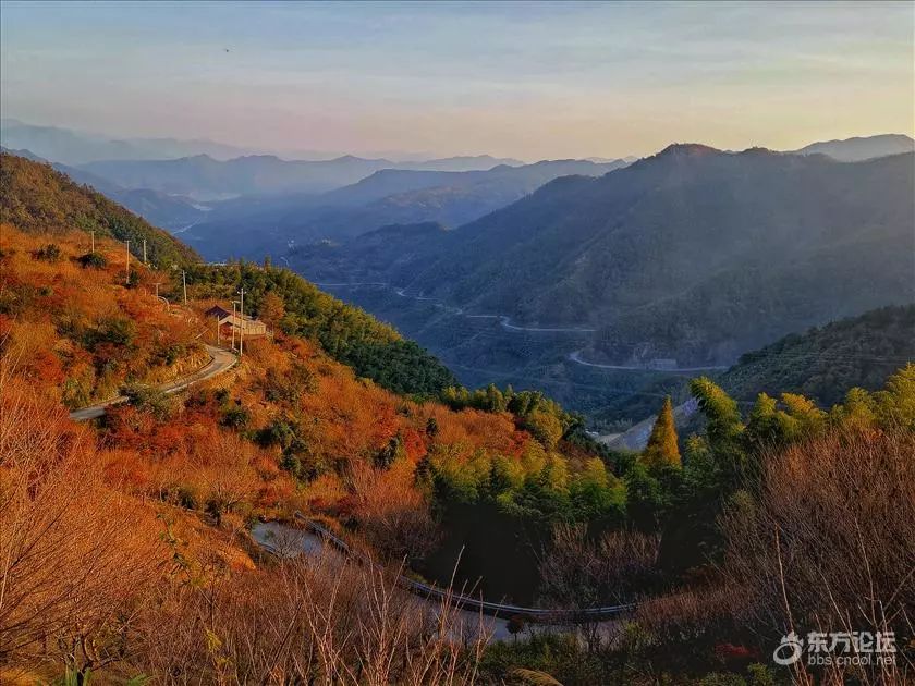 人到中年,导航四明山森林公园,出发吧!