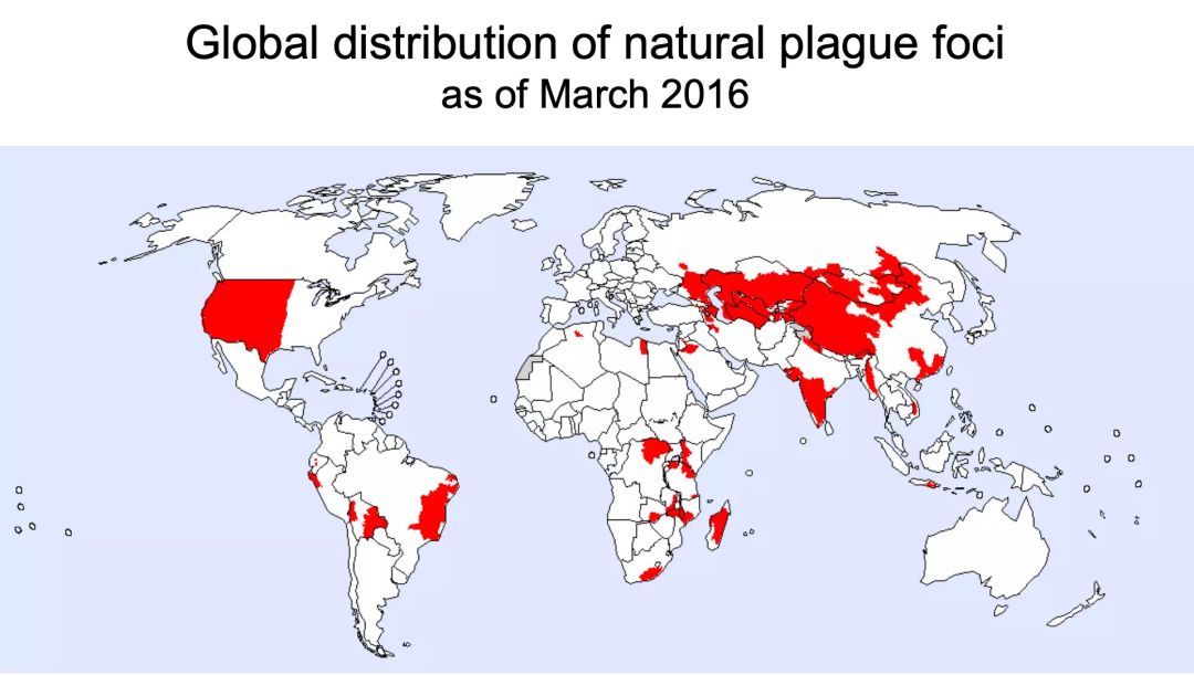 下图是who 2016 年绘制的世界鼠疫自然疫源地分布图,红色部分为发生过