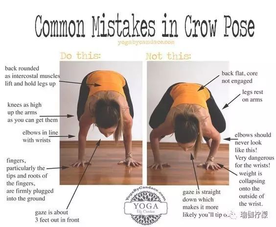 鹤禅式最简单的手臂支撑练习你可以做到吗