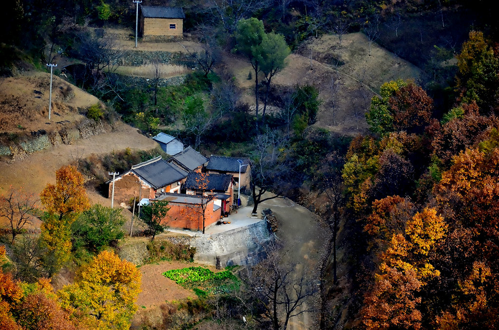 槲树庙村位于大美栾川县白土镇西北深山峡谷之中,距县城60余公里,全村