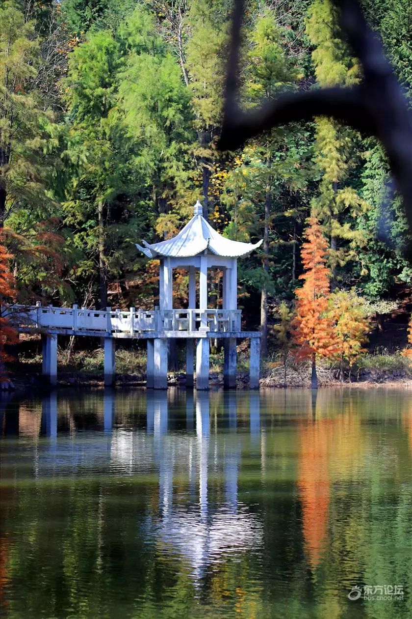 经过奉化溪口,上四明山的路.享受难得的两人世界.