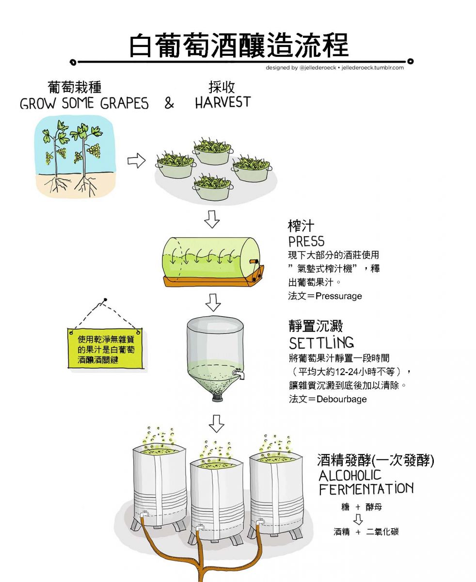 葡萄酒的制作方法图片