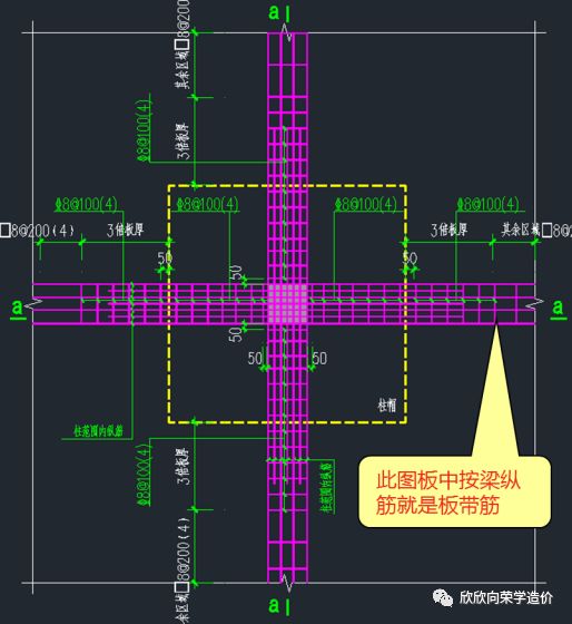 彻底搞懂板带的配筋及范围