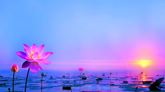 给心灵一方净土