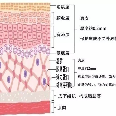 她的皮膚之所以長期長斑,敏感度低,與肌膚基底層長期處於極度水油失衡